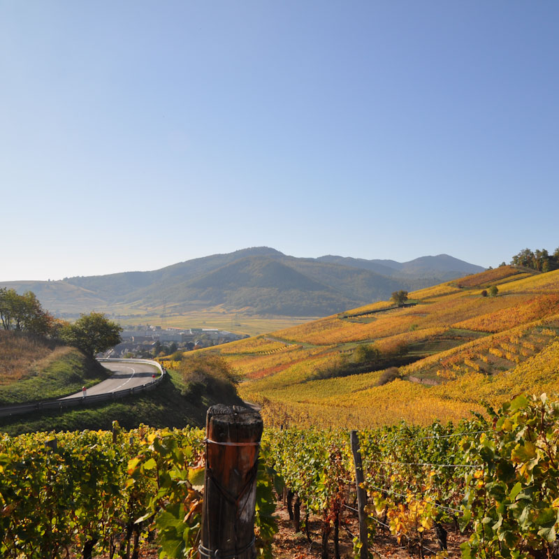 Alsace Wines + Vosges Mountains - 4 Days